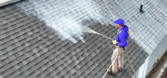 Shingle Rejuvenation