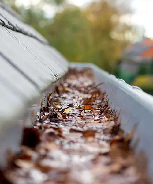 clogged gutter
